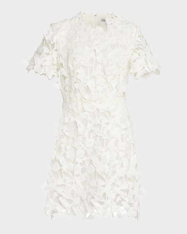 Darla A-Line Floral Lace Mini Dress